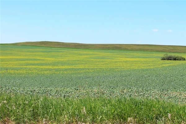 关于农村补偿那些事你都知道吗?