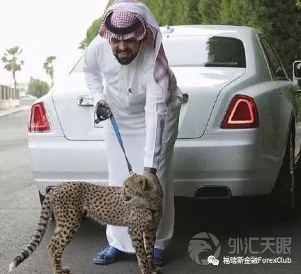 输了5球又如何 沙特球迷举起手赢了全世界