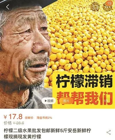苹果滞销,老农欲哭无泪!别再被骗,这个悲情套路正在全国上演
