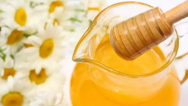 一种长势惊人的硬材树新品种,是替代杨树桉树