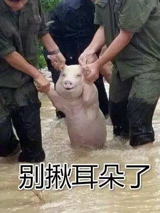 笑cry!"二师兄微笑照"火遍全国,都说是宜宾的,其实是