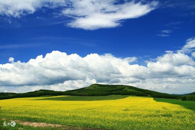 周易命论:属龙人名字中若带这些字,可不得了