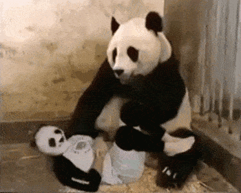 GIF搞笑:开纹身店的老板,你还活着吗?