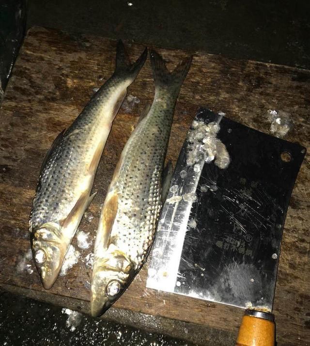 男子痴迷钓鱼,把床搬到水边,吃住就地解决,村民