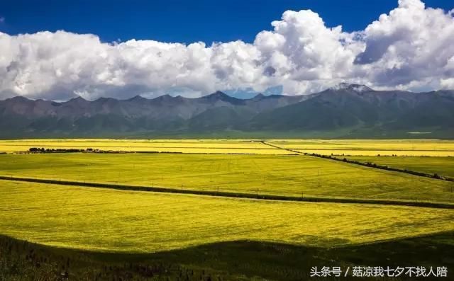 暑假去哪里旅游好玩?这5个景点可以带上你的