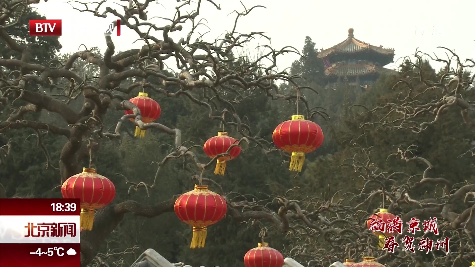 福满京城 春贺神州丨北京市属公园推出46项新春游园活动 福满京城 春贺神州丨北京市属公园推出46项新春游园活动