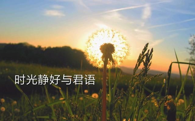 我愿乘风破浪,若能守你一世安康