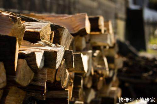 农村一种树,可亩产6万,却被称为霸王树遭人唾