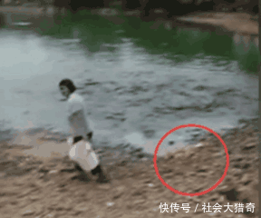 女子去鱼塘喂鱼, 不小心将鱼食落岸边, 结果却让