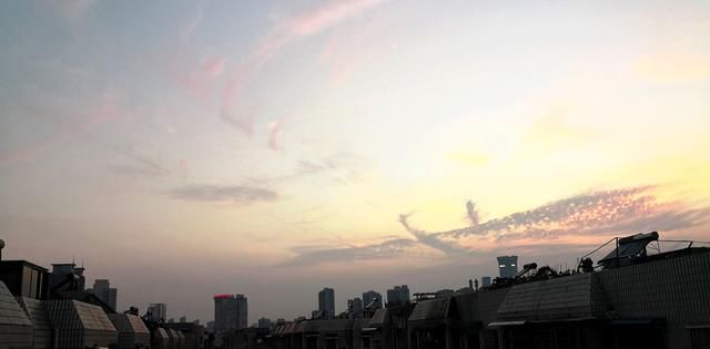 一篇小学生观看世界杯后写的作文,网友:我看了