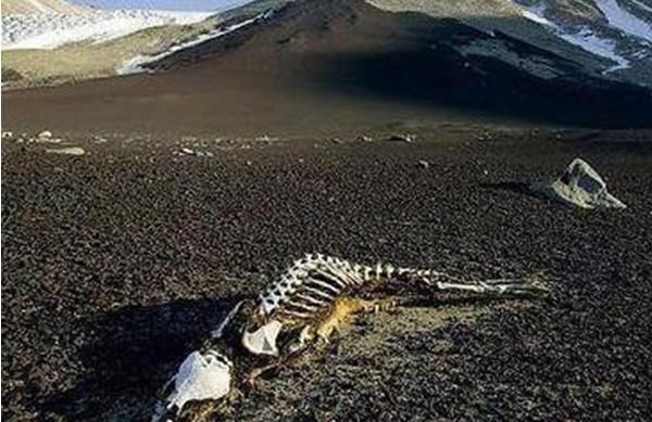 中国十大灵异之地,昆仑山死亡谷通往地狱之门