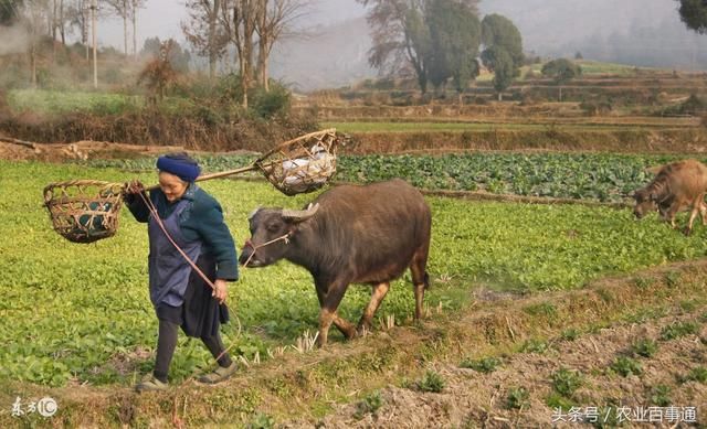 2018年开始,国家将强制收回农民土地,这四类农
