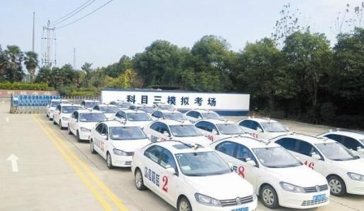 为什么驾校的教练喜欢凶学员?很多人都不知道