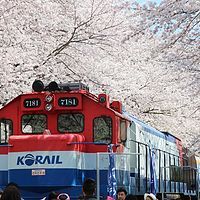 美西北小众环线折腾记 篇四:火山地貌独特景观