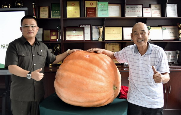 北京老宋瓜王“扶贫南瓜”赠送中绿农董事长杨昊龙 北京老宋瓜王“扶贫南瓜”赠送中绿农董事长杨昊龙