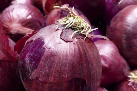 洋葱吃熟的好,还是吃生的好?养生专家说出了答