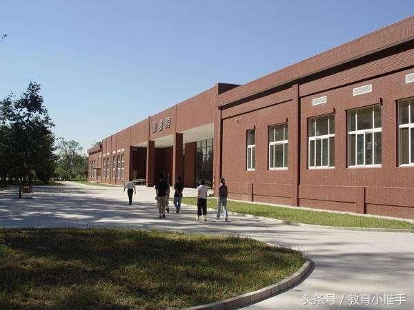 因合并而成为双一流的211大学,80%专业毕业