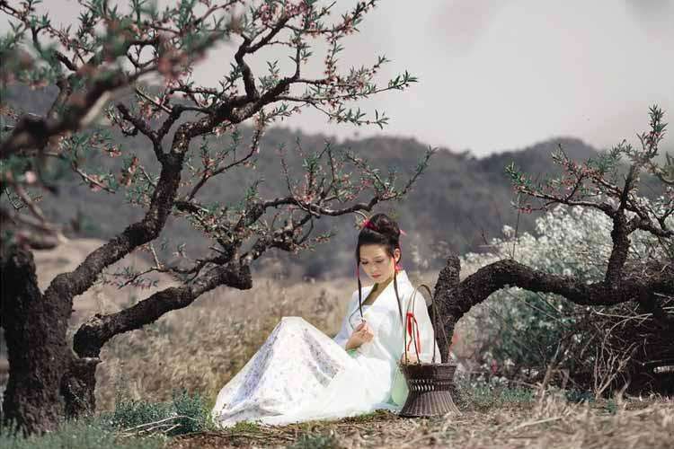 读睡精选古诗词 日暮炊烟屋上旋,蝉鸣蛙鼓响云