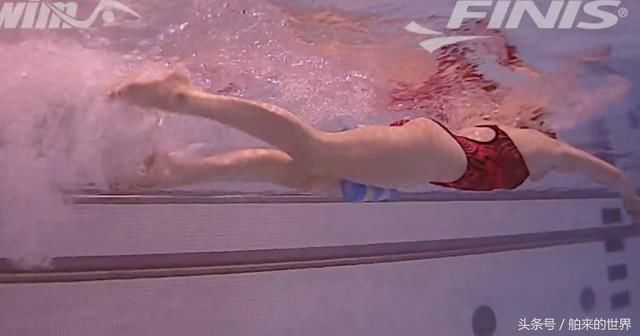 自由泳初学者必备,纠正打腿的练习方法!