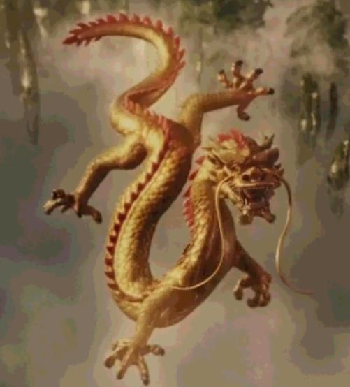 中国发现水下龙,中国是否出现过真龙