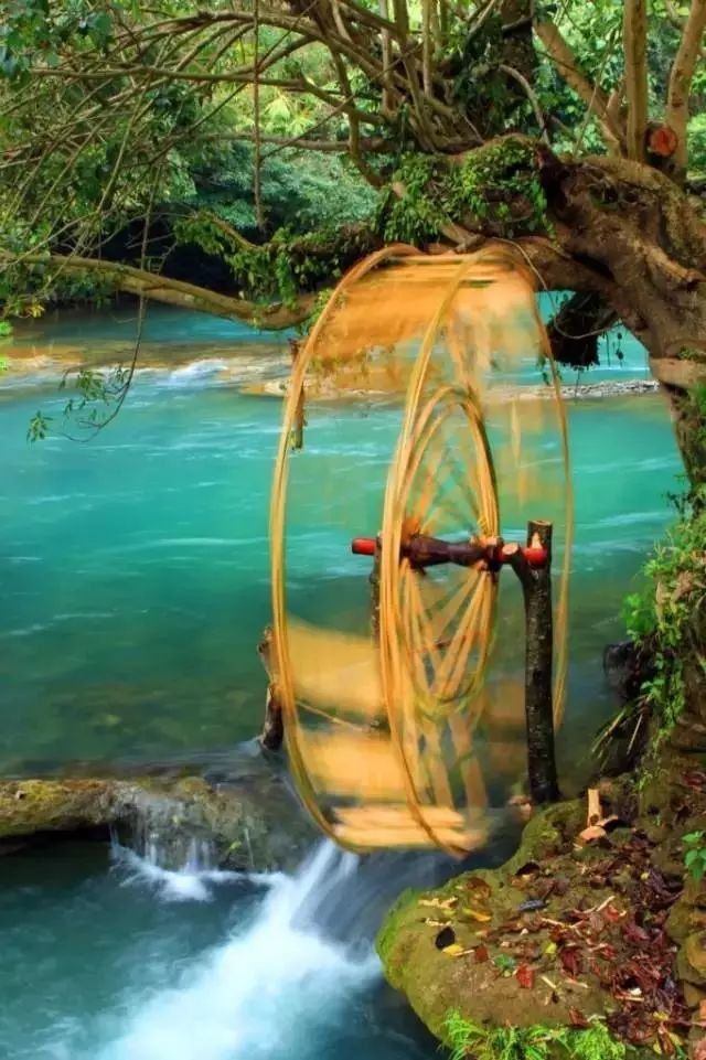 市长与曲靖一起刷爆朋友圈!流利英文对答记者