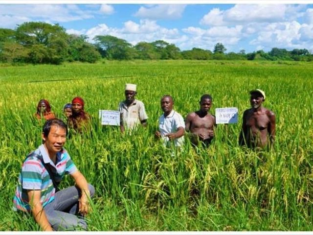 非洲人为什么不愿意种地,中国人过去后,非洲农