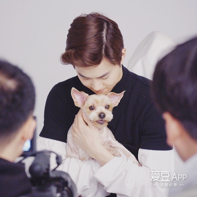 伯贤的梦龙xiumin的金叹因为目前不知道嘟嘟养了什么宠物,先拿这张充