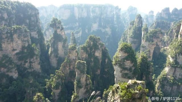 湖南各市人口排名,最多的不是株洲,也不是邵阳