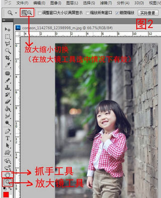 如何在ps快速放大和缩小图片?放大和缩小的方