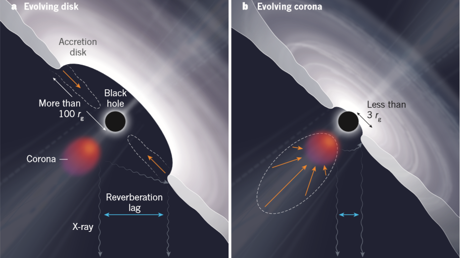 在国际空间站直击黑洞“吃星星”：光冕收缩