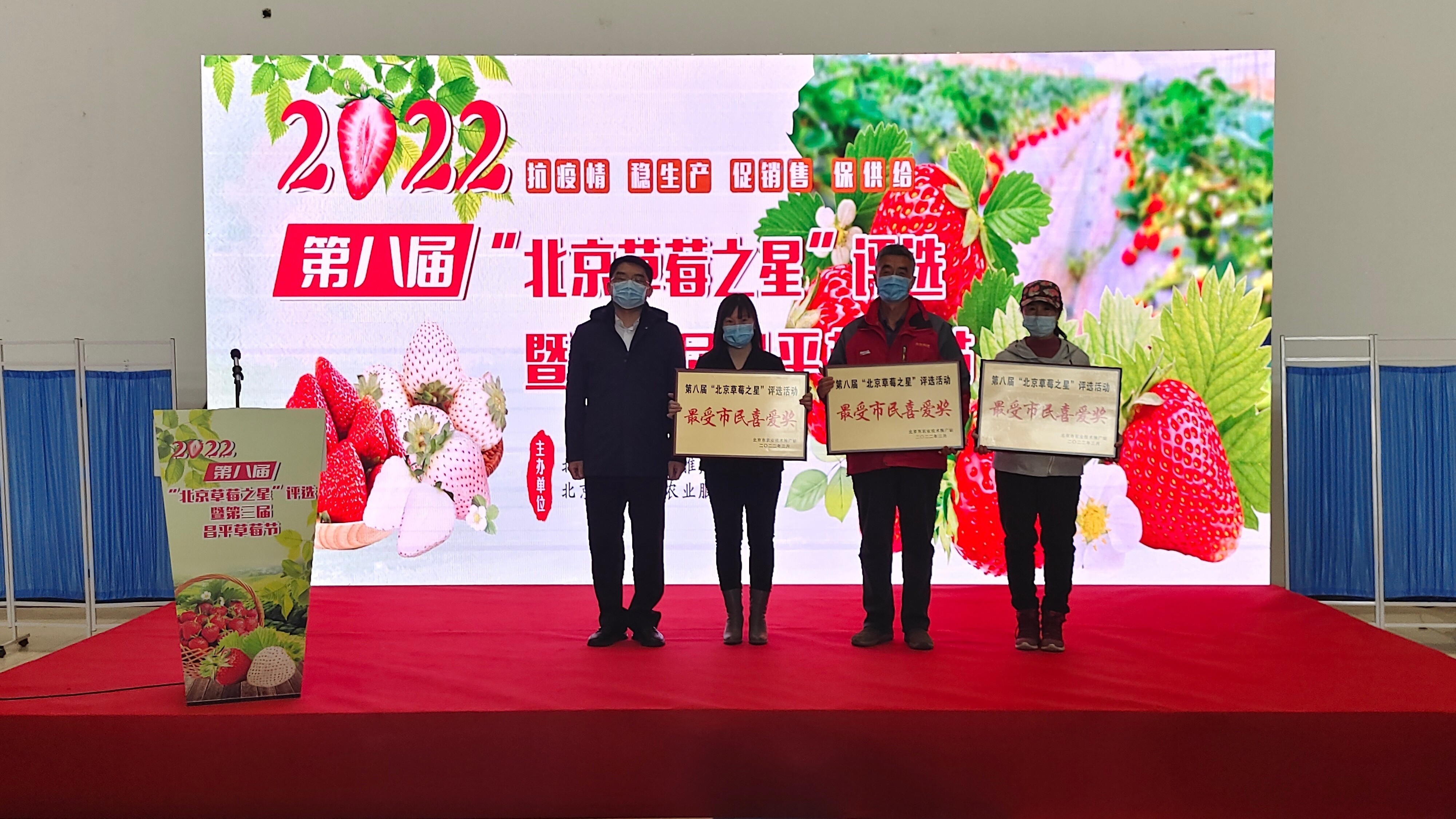 昌平区举办第八届“北京草莓之星”评选活动,不少新品种首次参赛 昌平区举办第八届“北京草莓之星”评选活动,不少新品种首次参赛