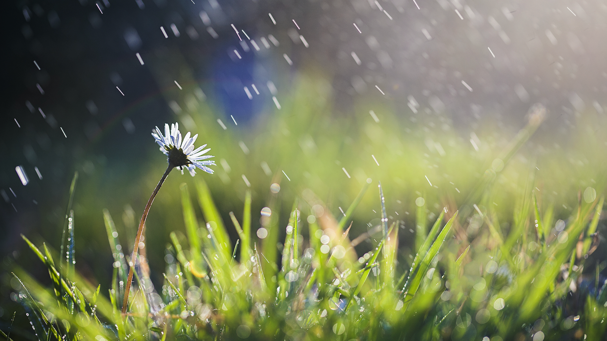北京局地大雨！市防汛办最新提示，避免到山区、河边游玩