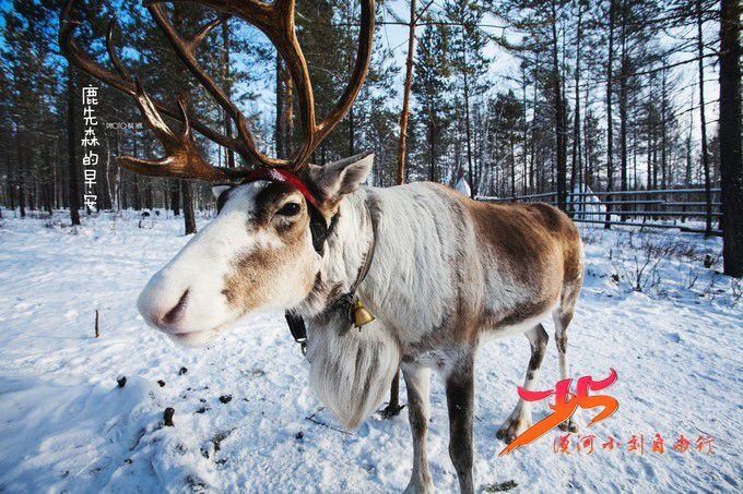 去漠河旅游有什么好玩地方及好玩的东西-北京