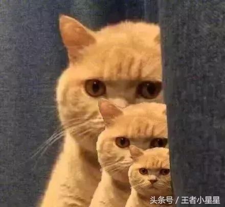 王者荣耀:天美官方策划终于道歉了!这次是为了