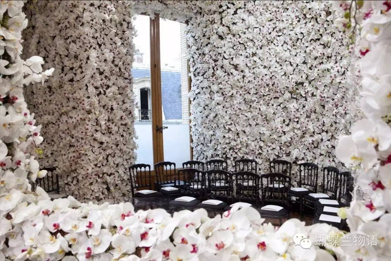 美Cry!|Dior的白色梦幻蝴蝶兰花海秀场 美Cry!|Dior的白色梦幻蝴蝶兰花海秀场