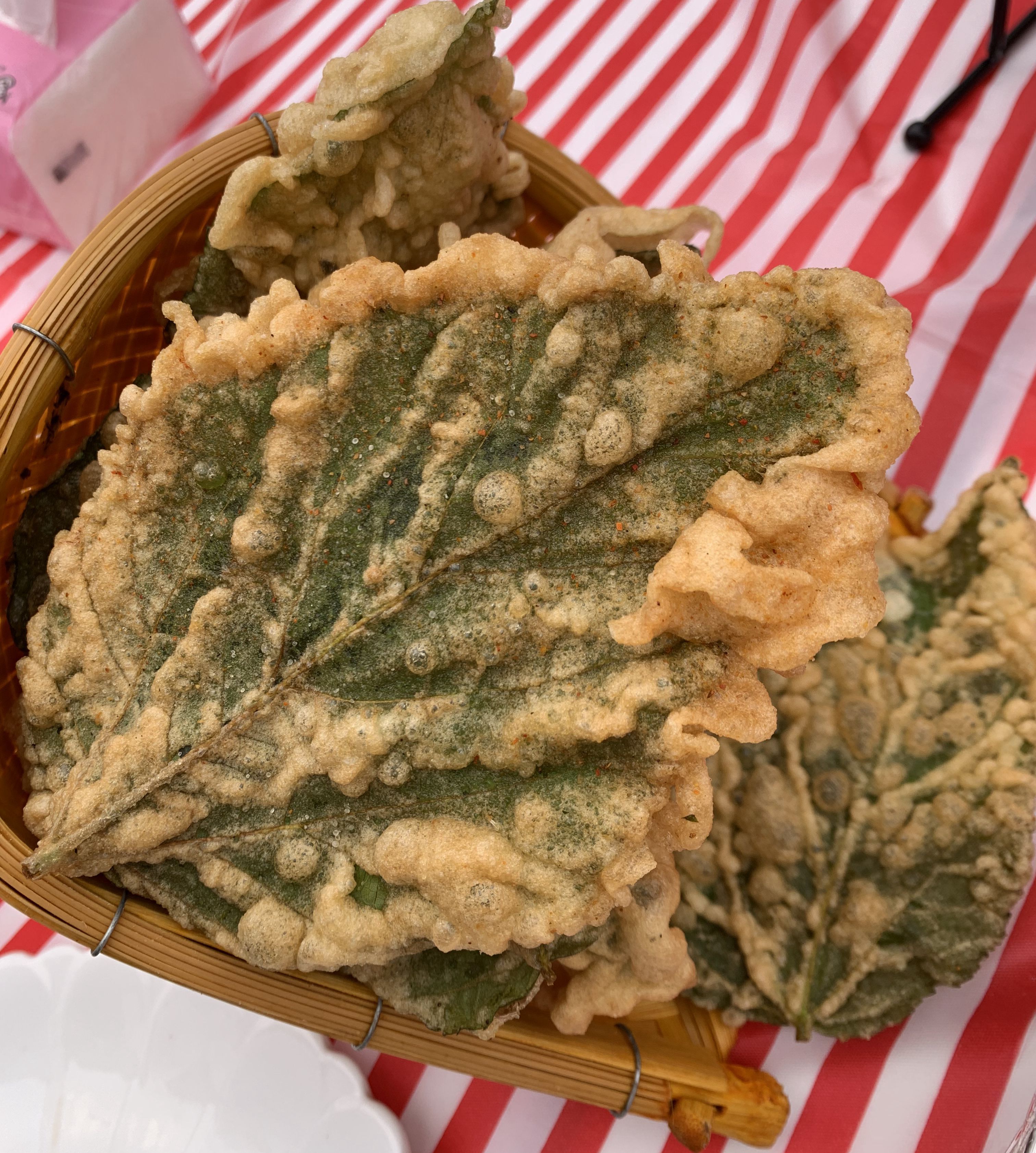 桑树浑身都能吃 桑叶"天妇罗"您想吃吗?