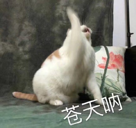 vdisk是什么盘?vdisk微盘用途功能特点介绍