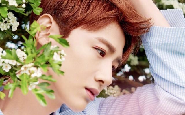 4部白敬亭演过的电视剧,古装和现代的小白你更