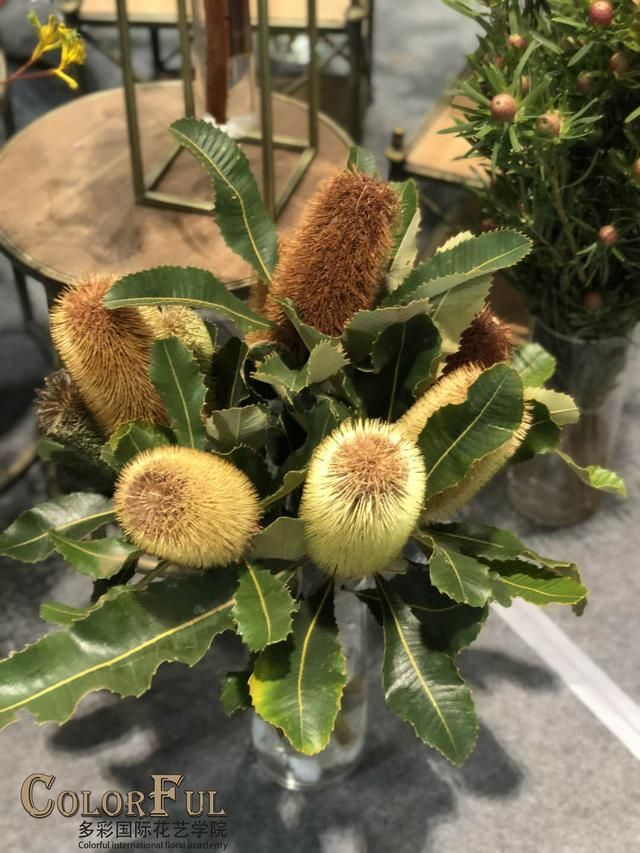 2018昆明零交会,除了花花世界,还有哪些看点?