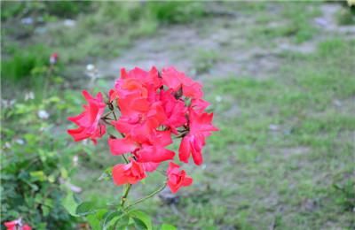 2019考研:什么是学硕,什么是专硕?该如何选择