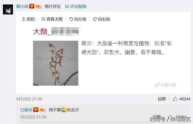 注孤生白敬亭终于找到真爱! 和魏大勋互抢热评