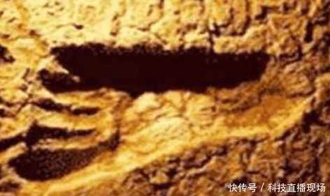 地球上曾出现的畸形人类,有的外形像恐龙人,有