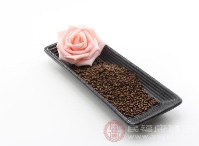 决明子泡水喝的功效 这东西泡水喝明目效果好