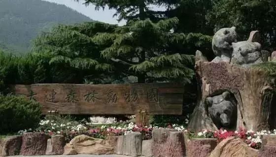 12月淮安飞这些地方的机票堪称白菜价,最低才