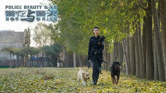 非凡的夜貓子:《警花與警犬之再上征程》編劇李剛