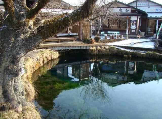 日本国土面积有多大?为何日本那么有钱?今天