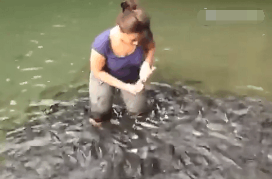 男子河边发现养鱼女子被鱼攻击 走近看清鱼的种类后 呆住了 雪花新闻