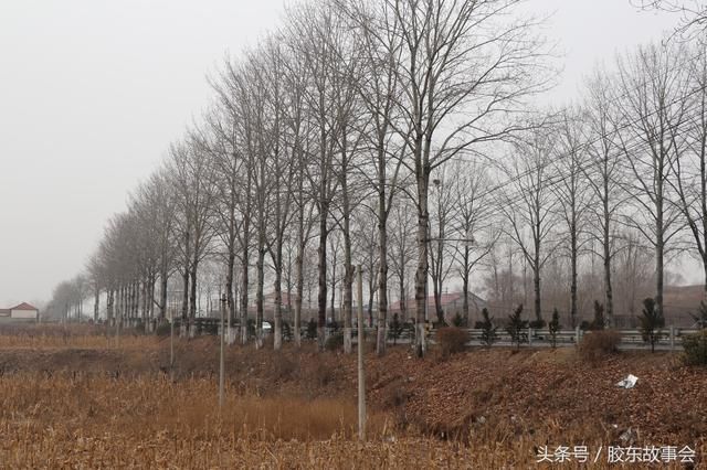 烟台栖霞有个地方叫陈家疃,是该市海拔最低点