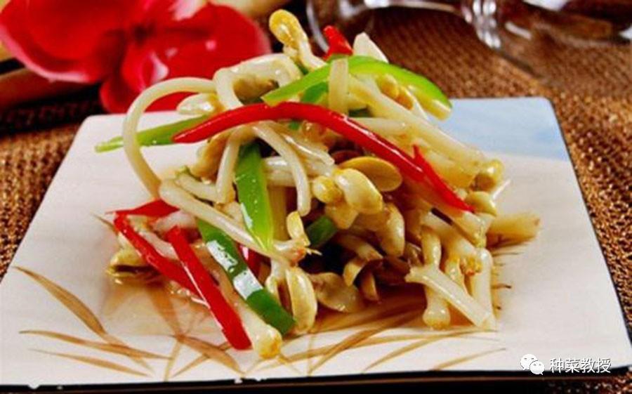 哇!这位阳台种菜达人的花生芽栽培方法够牛逼!