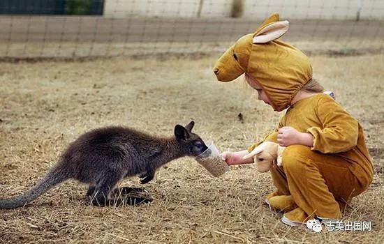 中国人去澳大利亚打工的限制条件是什么?